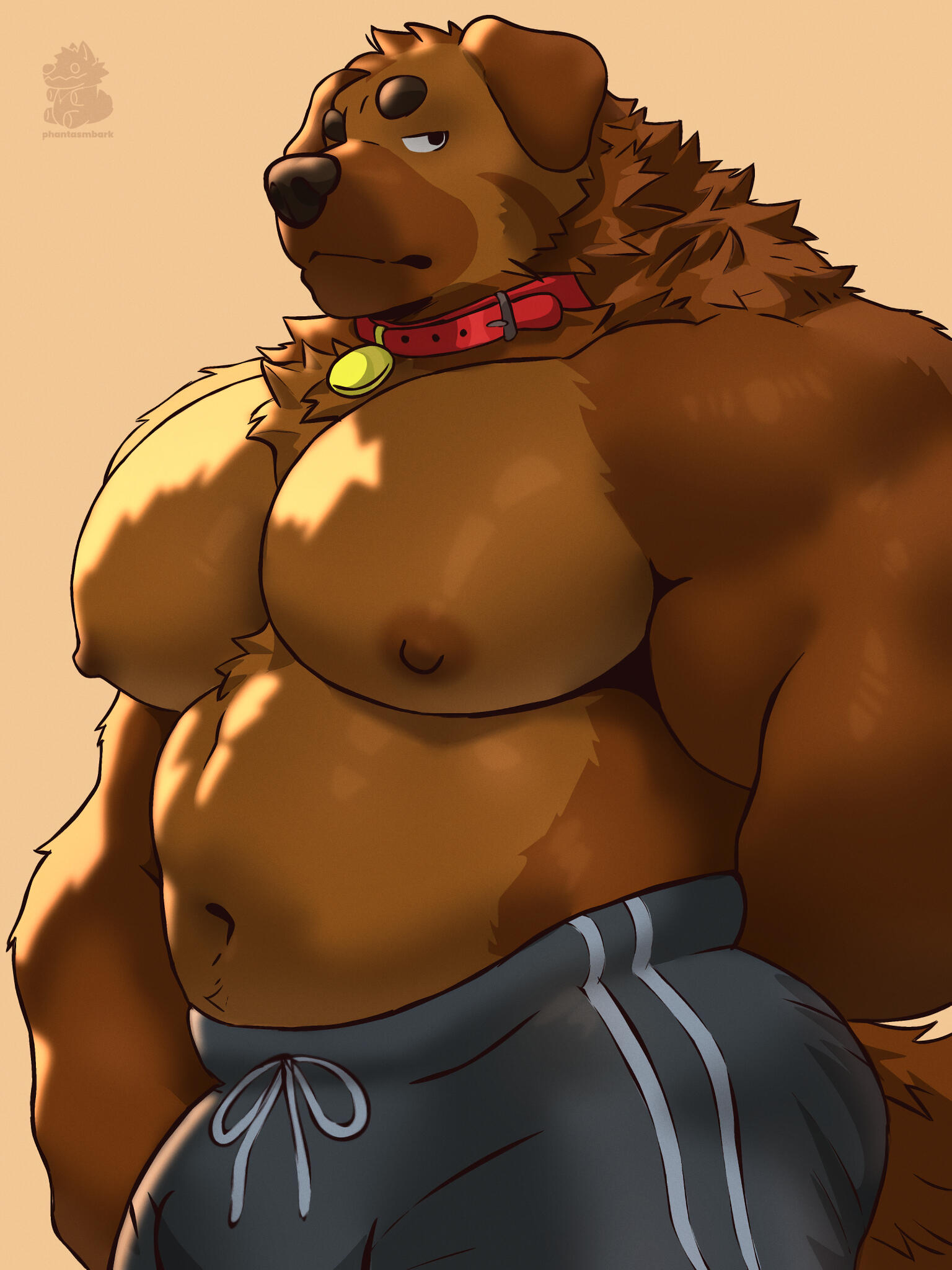🐶💢